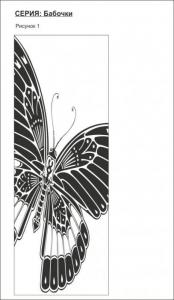 бабочки 1