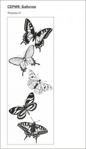 бабочки 21
