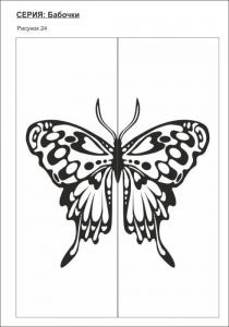 бабочки 24