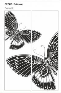 бабочки 36