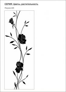 цветы, растительность 229 (розы)