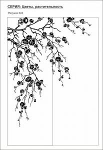 цветы, растительность 343 (сакура)