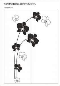 цветы, растительность 422 (орхидеи)