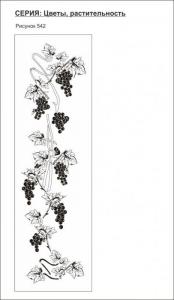 цветы, растительность 542 (виноград)