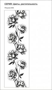 цветы, растительность 649 (розы)