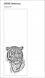 животные 88 (тигр)